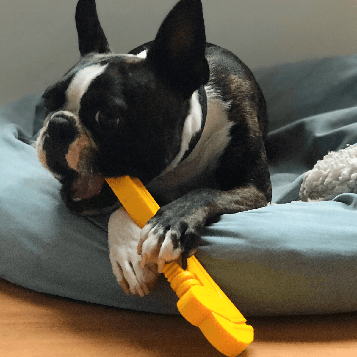 Nylon Pipe Wrench-Dog Toy-Rover Pet Products