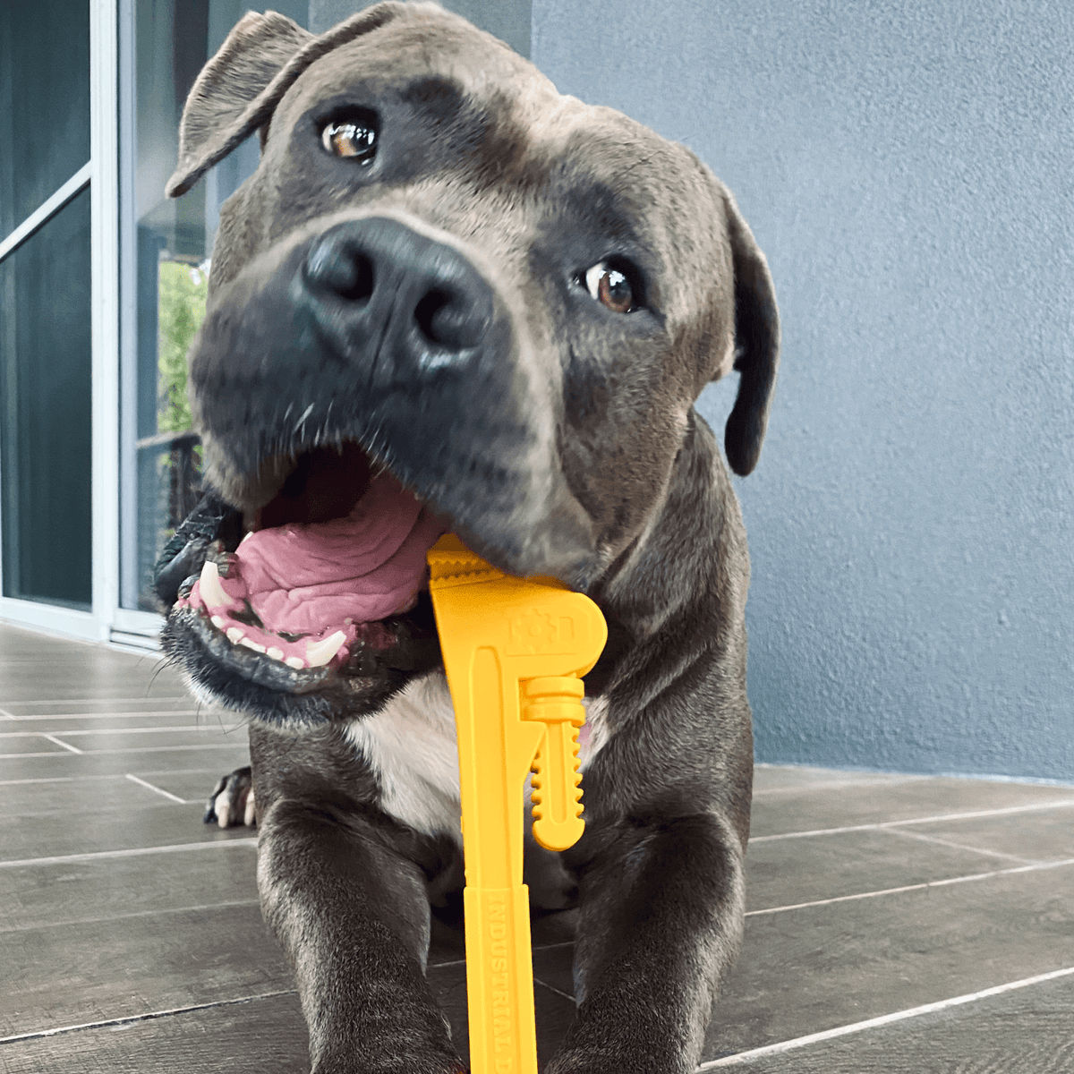 Nylon Pipe Wrench-Dog Toy-Rover Pet Products