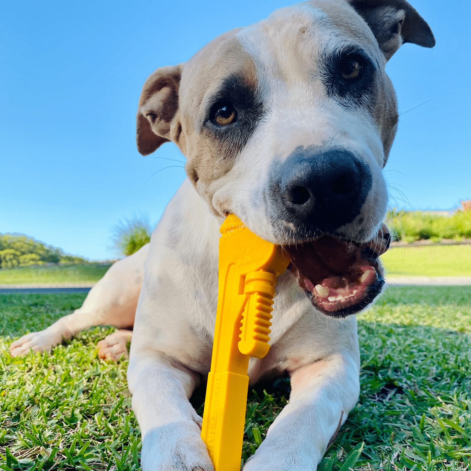 Nylon Pipe Wrench-Dog Toy-Rover Pet Products