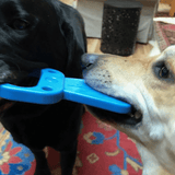 Nylon Pull Tab-Dog Toy-Rover Pet Products