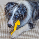 Nylon Shovel-Dog Toy-Rover Pet Products