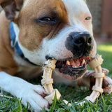 Nylon Teething Ring Dog Toy-Dog Toy-Rover Pet Products