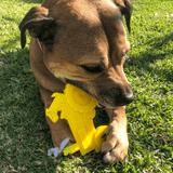 Nylon Tractor-Dog Toy-Rover Pet Products