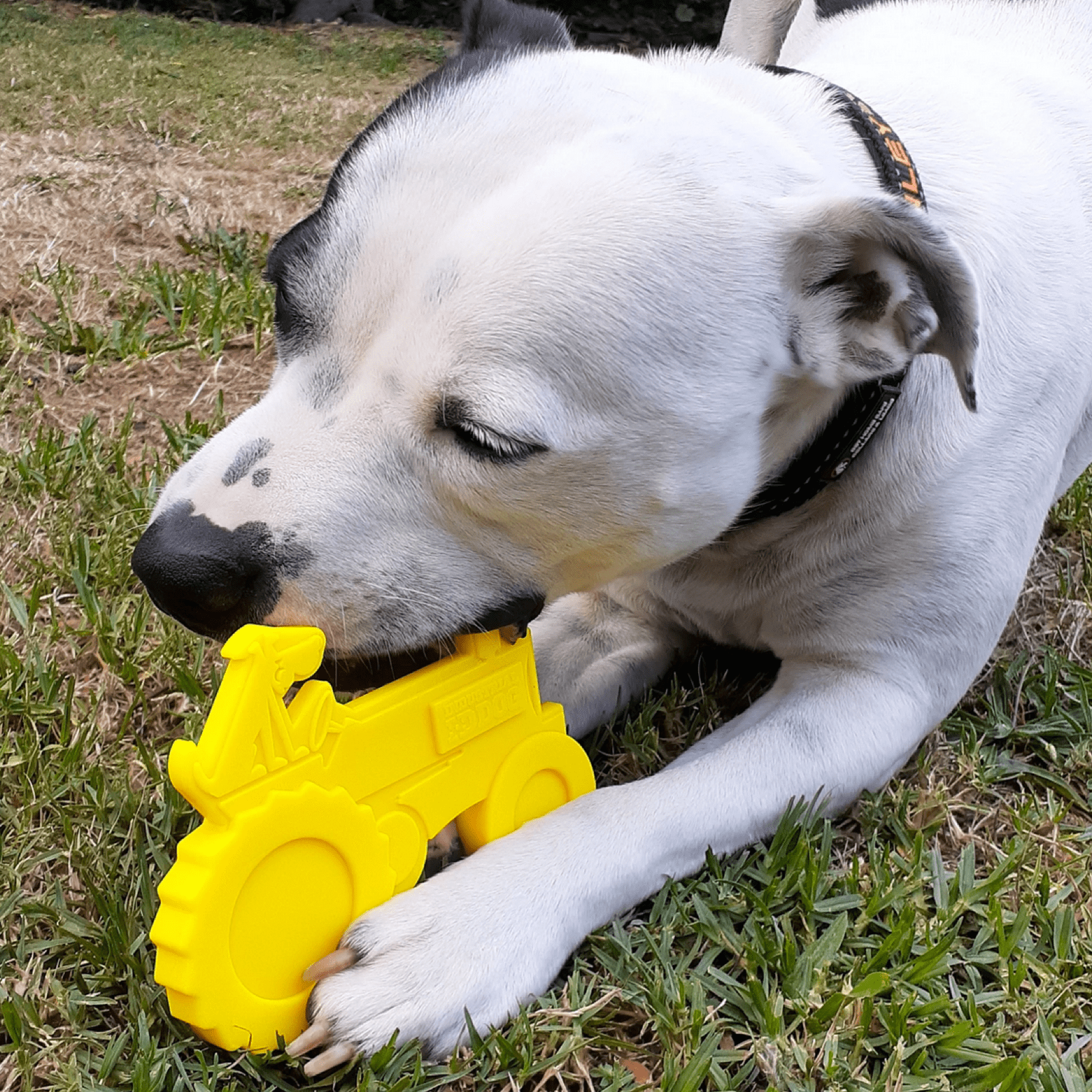 Nylon Tractor-Dog Toy-Rover Pet Products