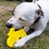 Nylon Tractor-Dog Toy-Rover Pet Products