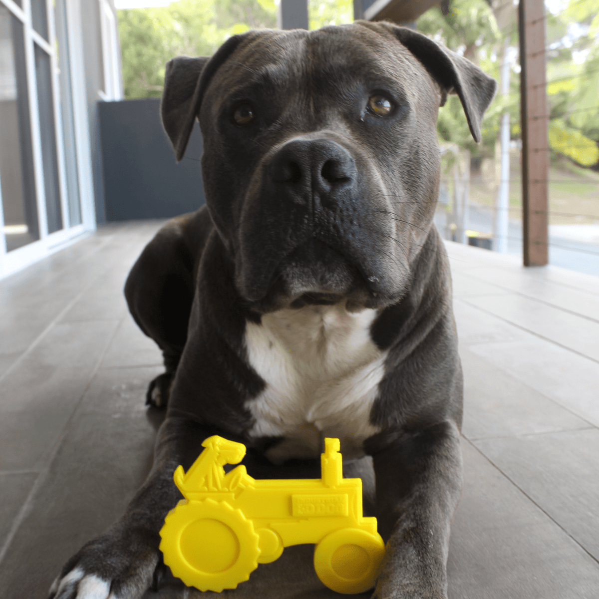 Nylon Tractor-Dog Toy-Rover Pet Products