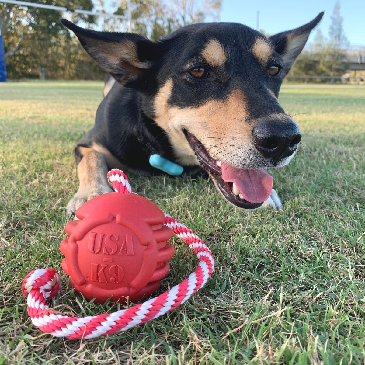 Stars & Stripes Ball Reward Toy-Dog Toy-Rover Pet Products