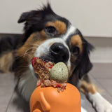 Turkey-Dog Toy-Rover Pet Products