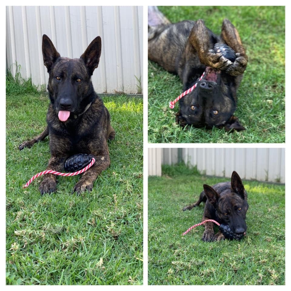 Magnum Grenade Reward Toy (Power Chewers)-Dog Toy-Rover Pet Products