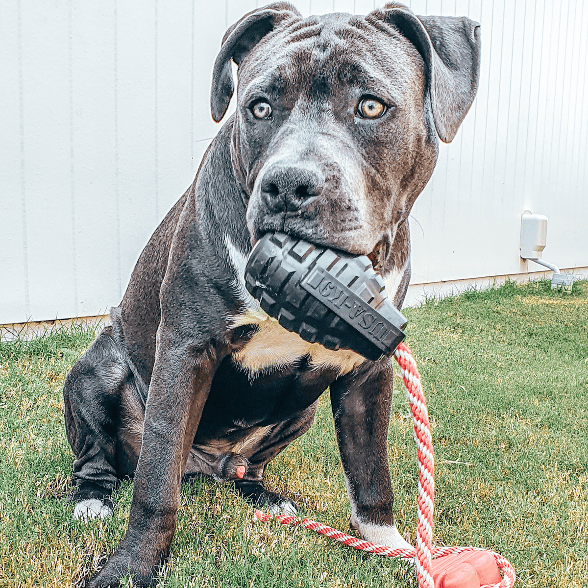 Magnum Grenade Reward Toy (Power Chewers)-Dog Toy-Rover Pet Products