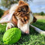 Dinosaur Egg-Dog Toy-Rover Pet Products