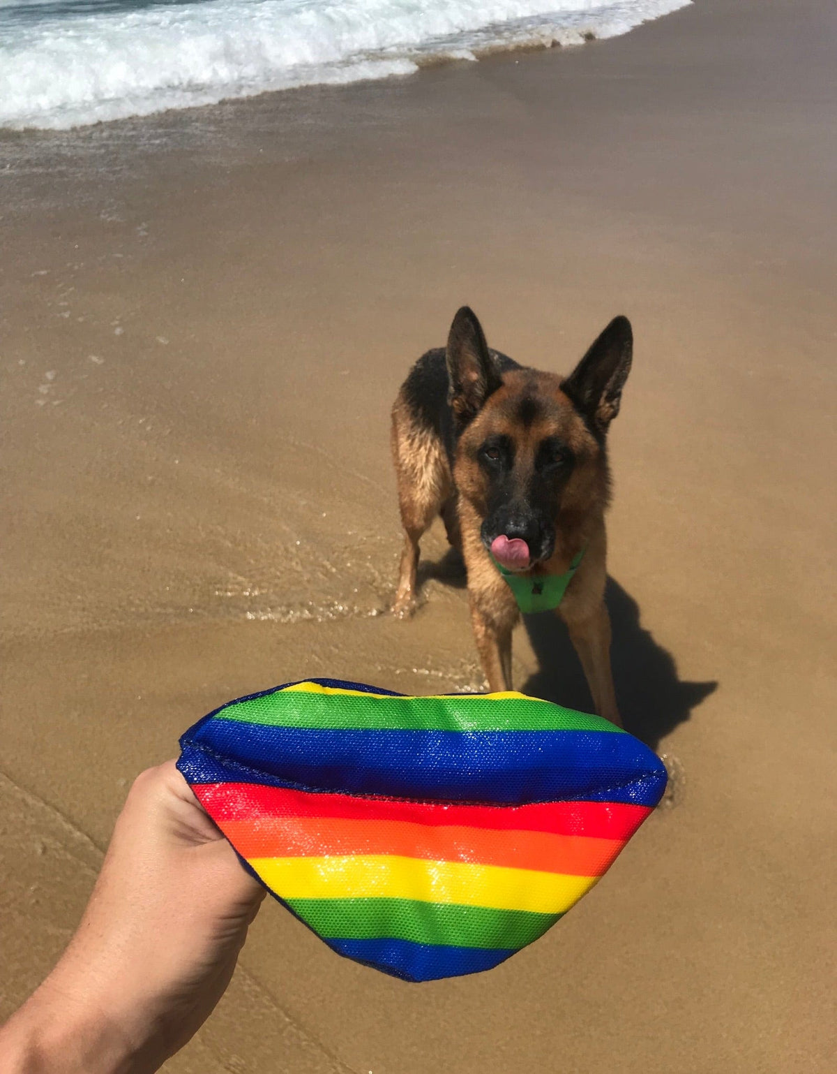 Big Rainbow Lips-Rover Pet Products
