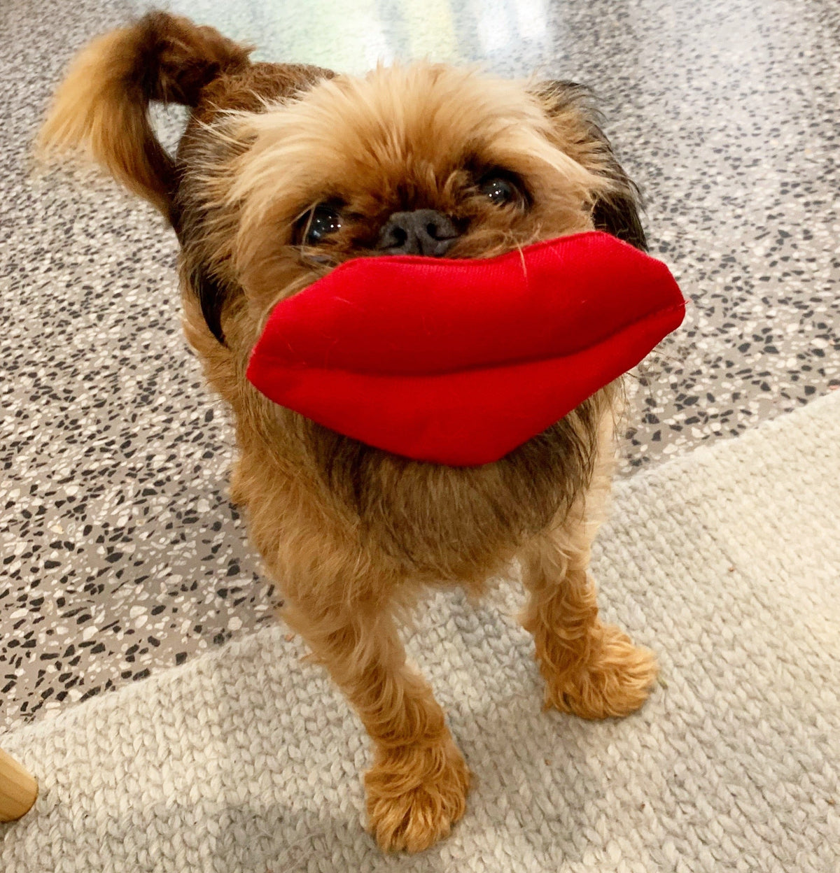 Big Red Lips-Rover Pet Products