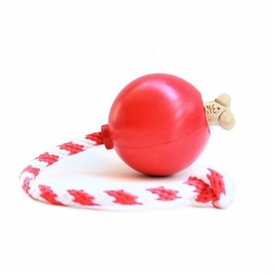 Cherry Bomb-Dog Toy-Rover Pet Products