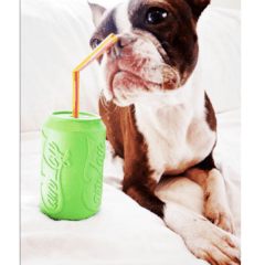 Can Toy-Dog Toy-Rover Pet Products