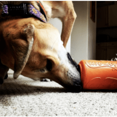 Can Toy-Dog Toy-Rover Pet Products