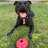 Pink Cupcake-Dog Toy-Rover Pet Products