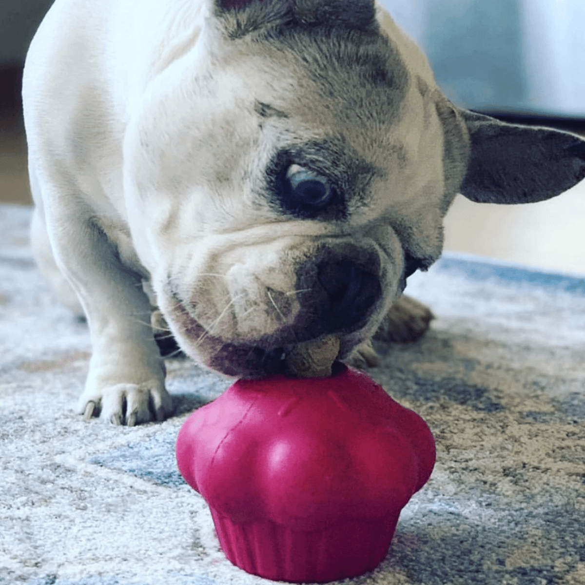 Pink Cupcake-Dog Toy-Rover Pet Products