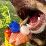 Corn On The Cob-Dog Toy-Rover Pet Products