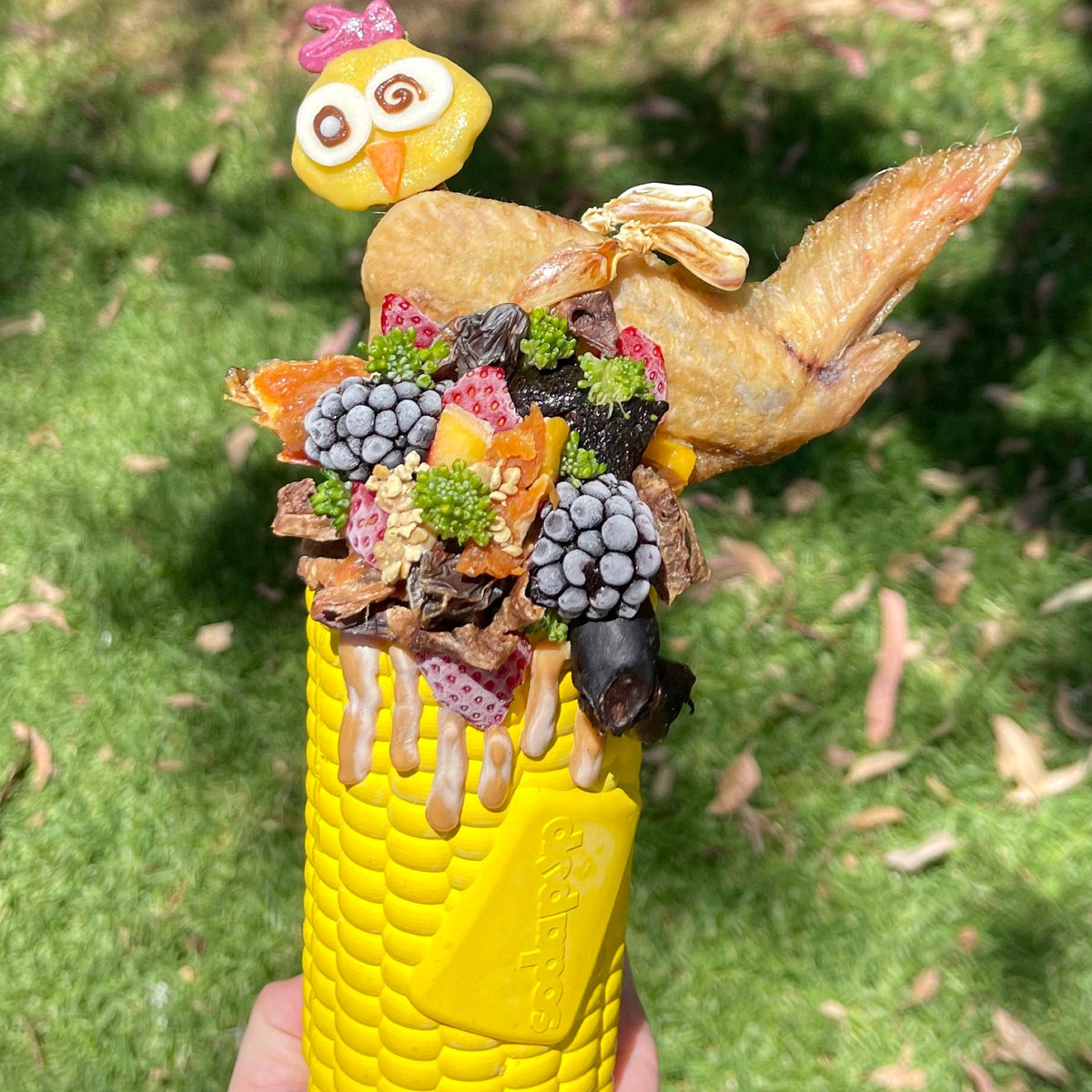 Corn On The Cob-Dog Toy-Rover Pet Products