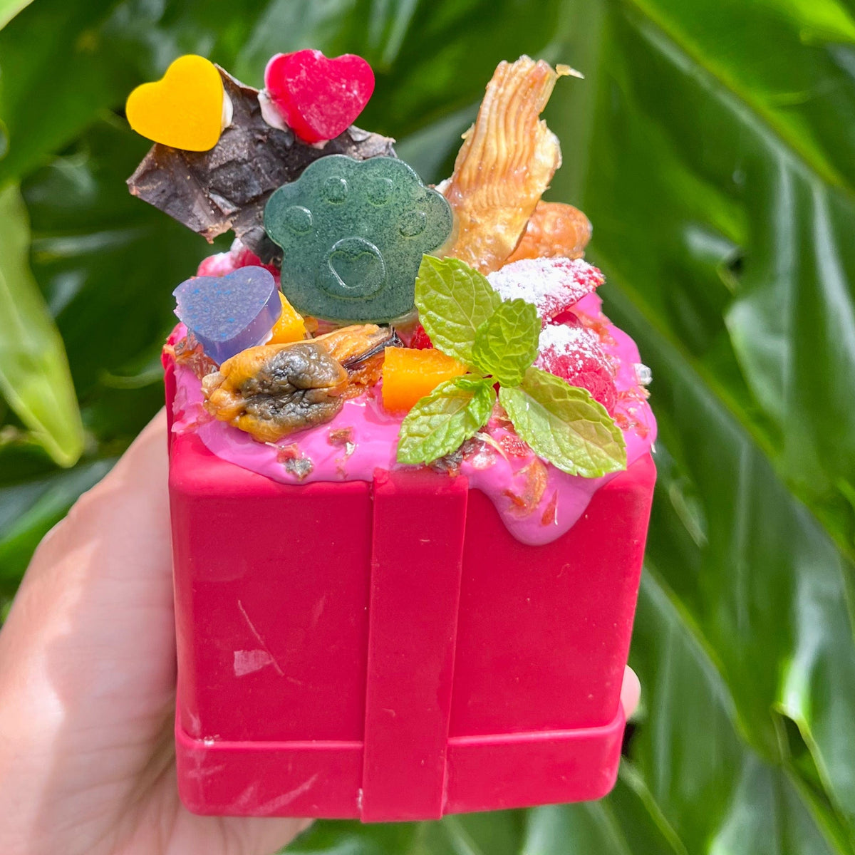 Gift Box-Dog Toy-Rover Pet Products