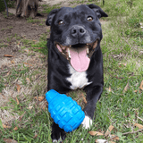Grenade-Dog Toy-Rover Pet Products