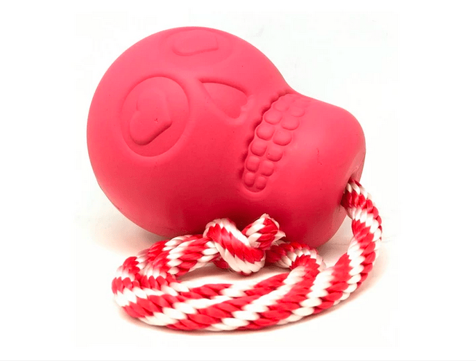 Skull Reward Toy-Dog Toy-Rover Pet Products