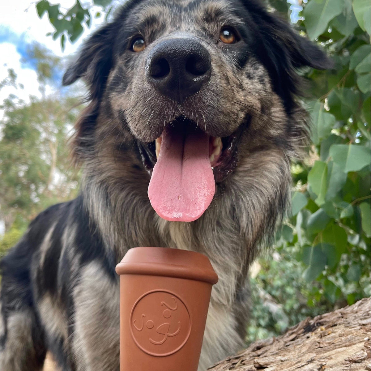 Coffee Cup-Dog Toy-Rover Pet Products