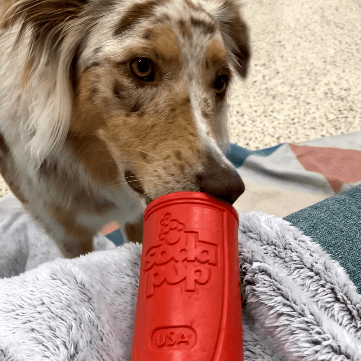Retro Sodacan-Dog Toy-Rover Pet Products