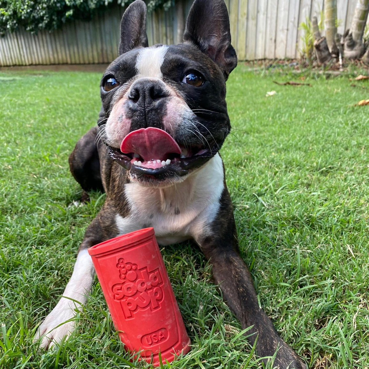 Retro Sodacan-Dog Toy-Rover Pet Products