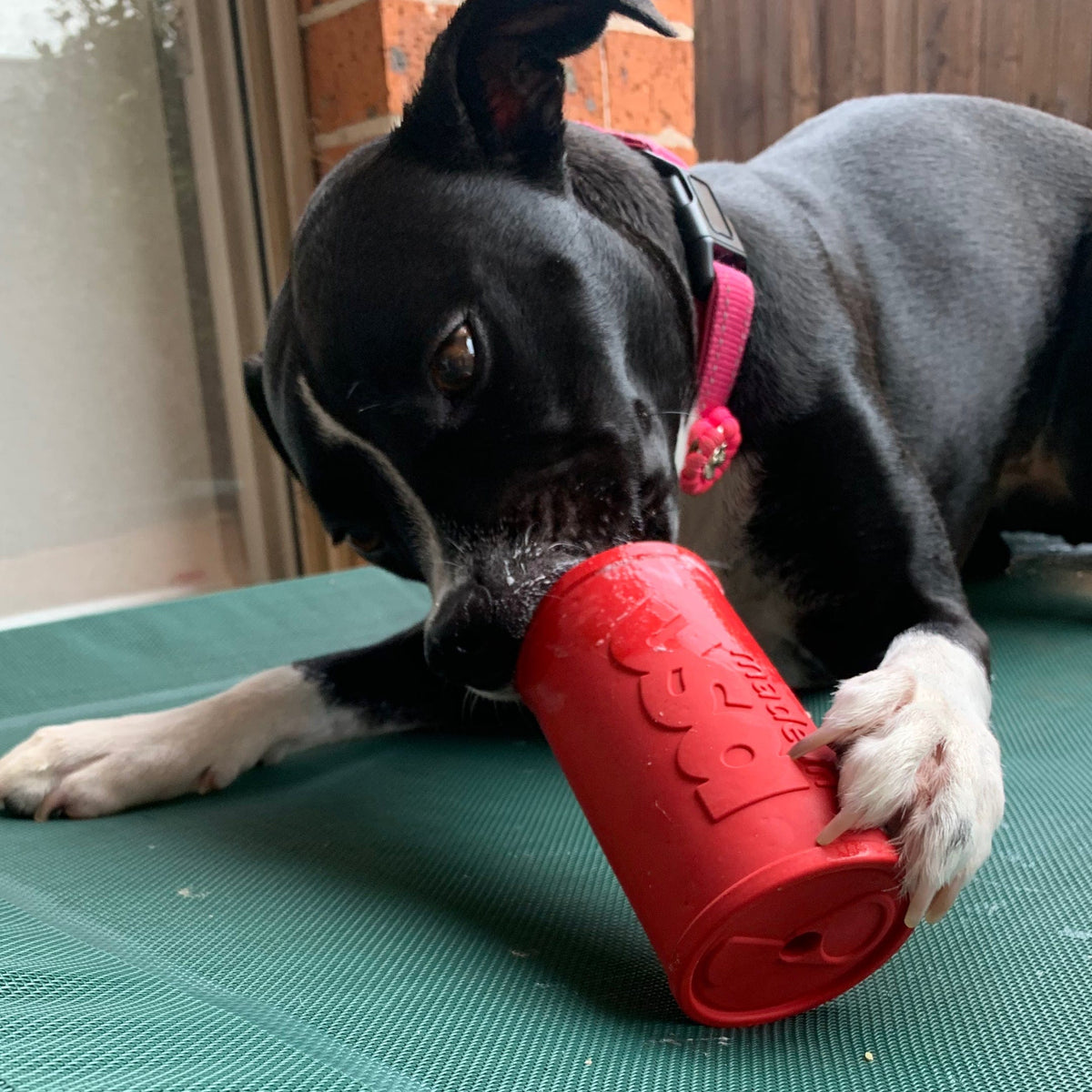 Retro Sodacan-Dog Toy-Rover Pet Products