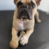 Nylon Honeybone-Dog Toy-Rover Pet Products