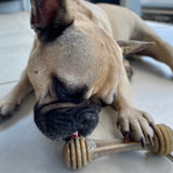 Nylon Honeybone-Dog Toy-Rover Pet Products