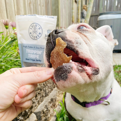 Goat Tripe Treats – Aussie Digestive & Probiotic Snack