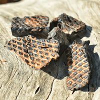 Roo-Bix Qubes - Kangaroo Jerky-Dog Treat-Rover Pet Products
