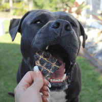 What's Your Beef? - Beef Liver-Dog Treat-Rover Pet Products