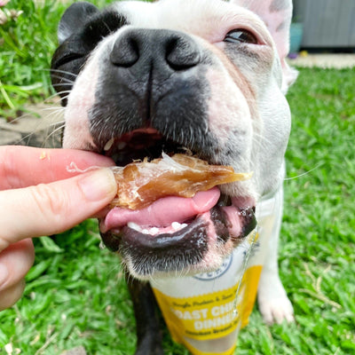 Australian Chicken Jerky | High‑Protein Dog Treats