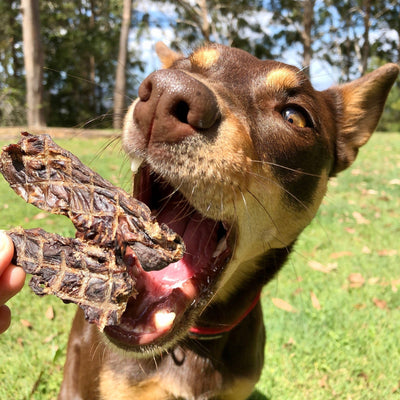 Kangaroo Jerky—Ultra Lean, High‑Protein Aussie Training Treat