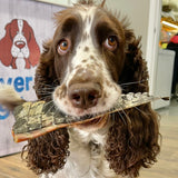 YOU CROC MY WORLD-Dog Treat-Rover Pet Products