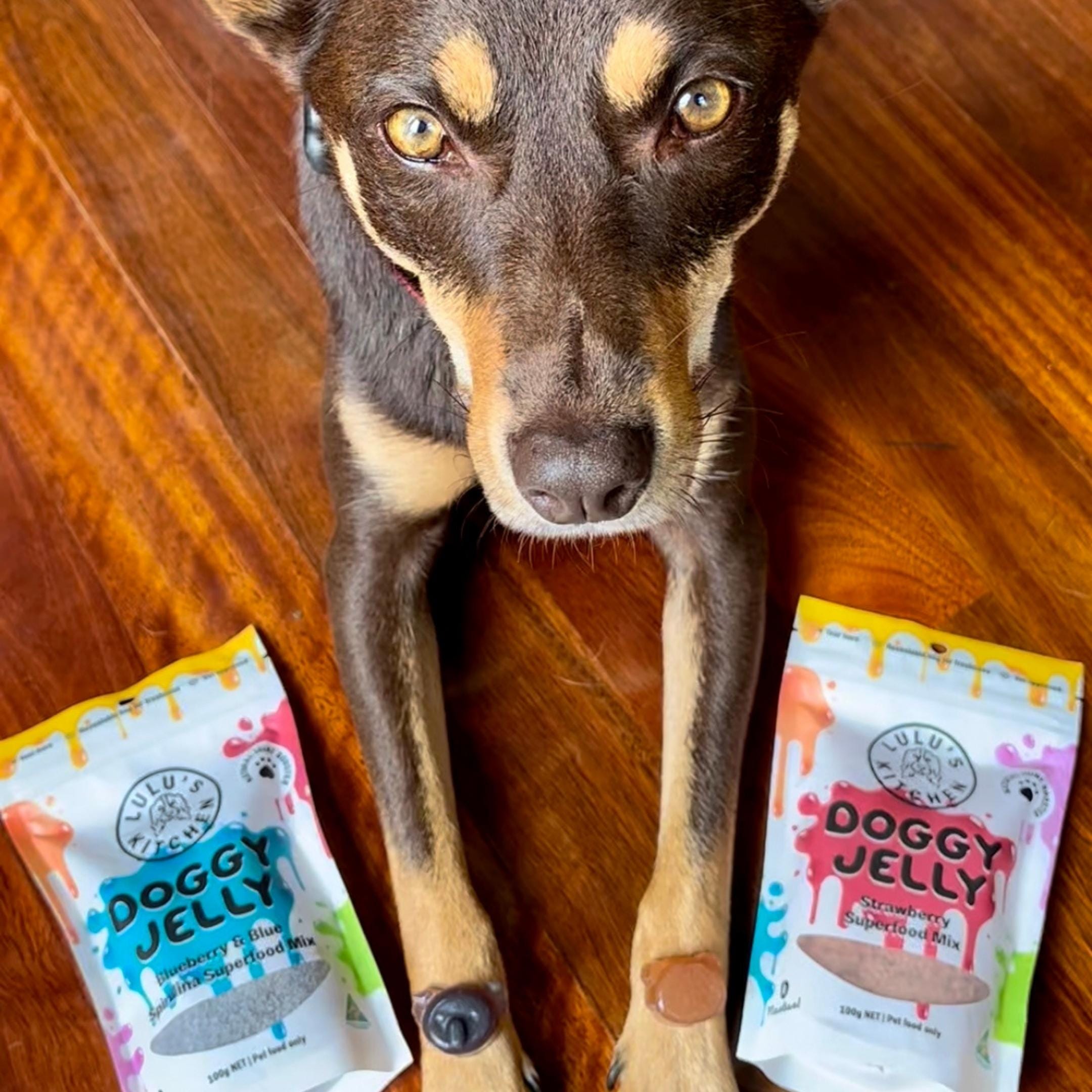 Strawberry Superfood Jelly-Doggy Jelly-Rover Pet Products