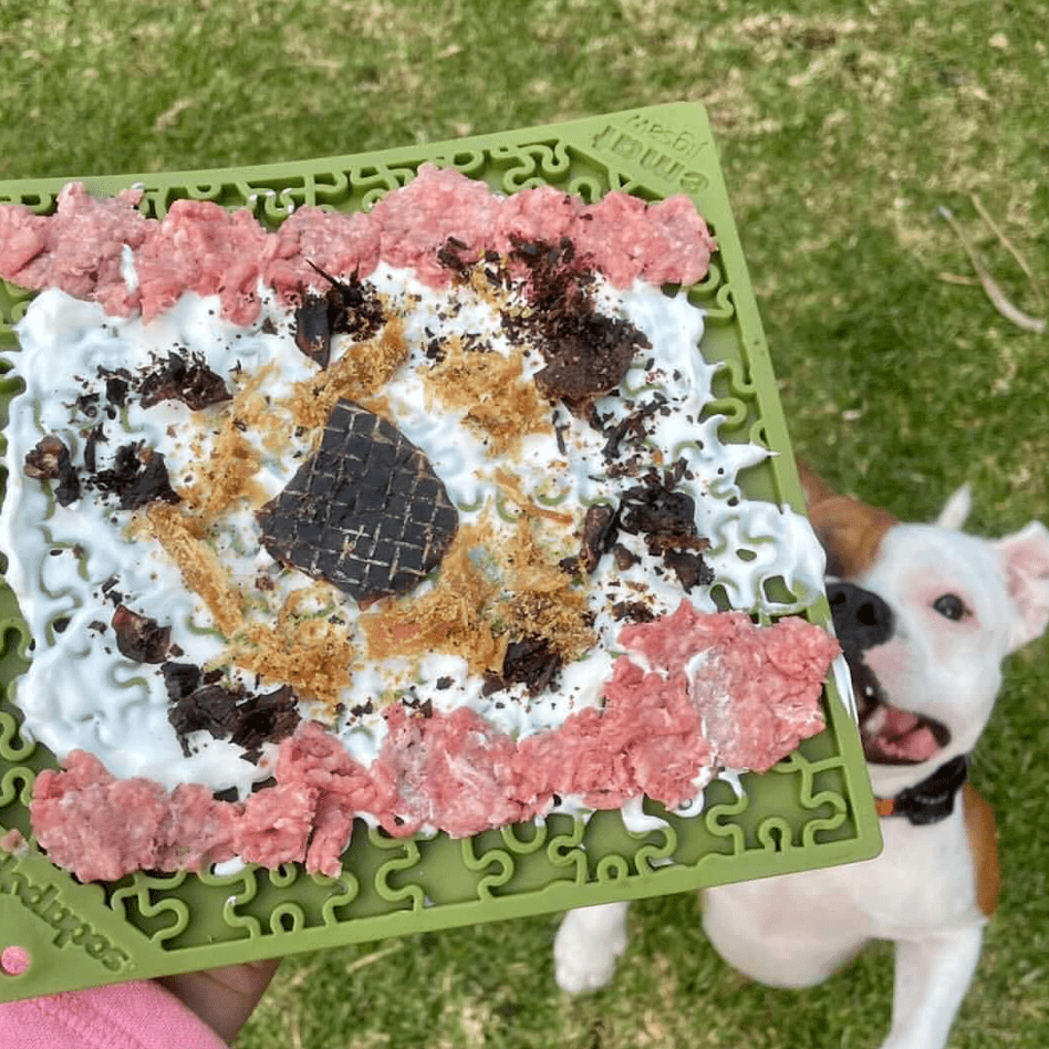 JIGSAW eMat Enrichment Lick Mat-Slow Feeder-Rover Pet Products