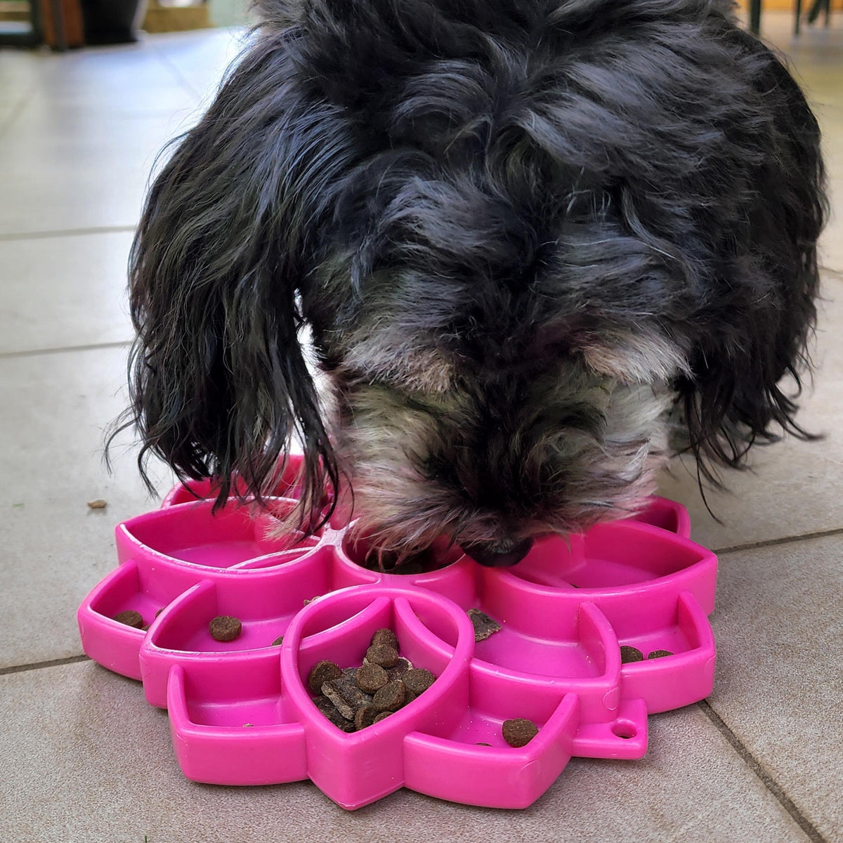 Mandala eTray Slowfeeder eTray-Slow Feeder-Rover Pet Products
