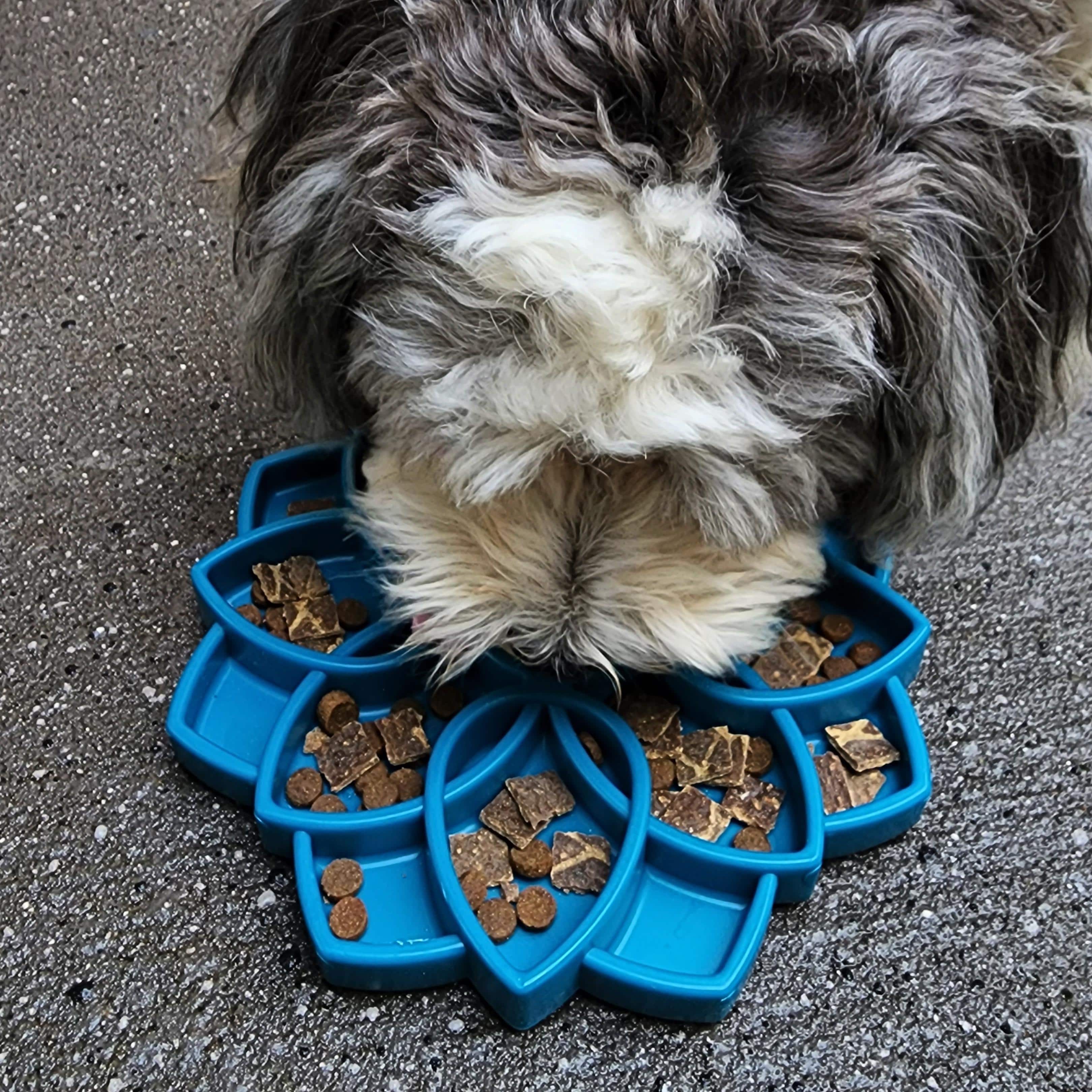 Mandala eTray Slowfeeder eTray-Slow Feeder-Rover Pet Products