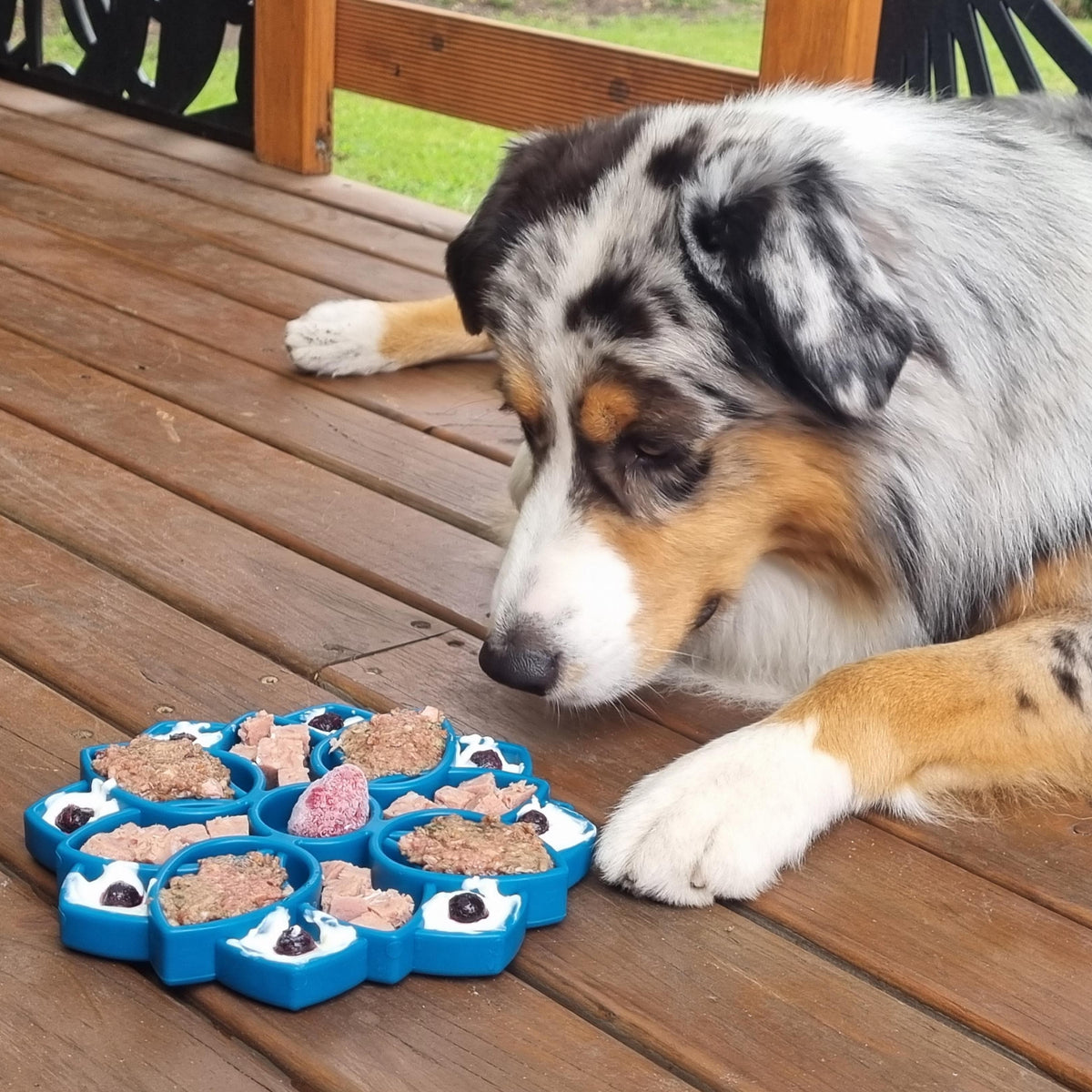 Mandala eTray Slowfeeder eTray-Slow Feeder-Rover Pet Products