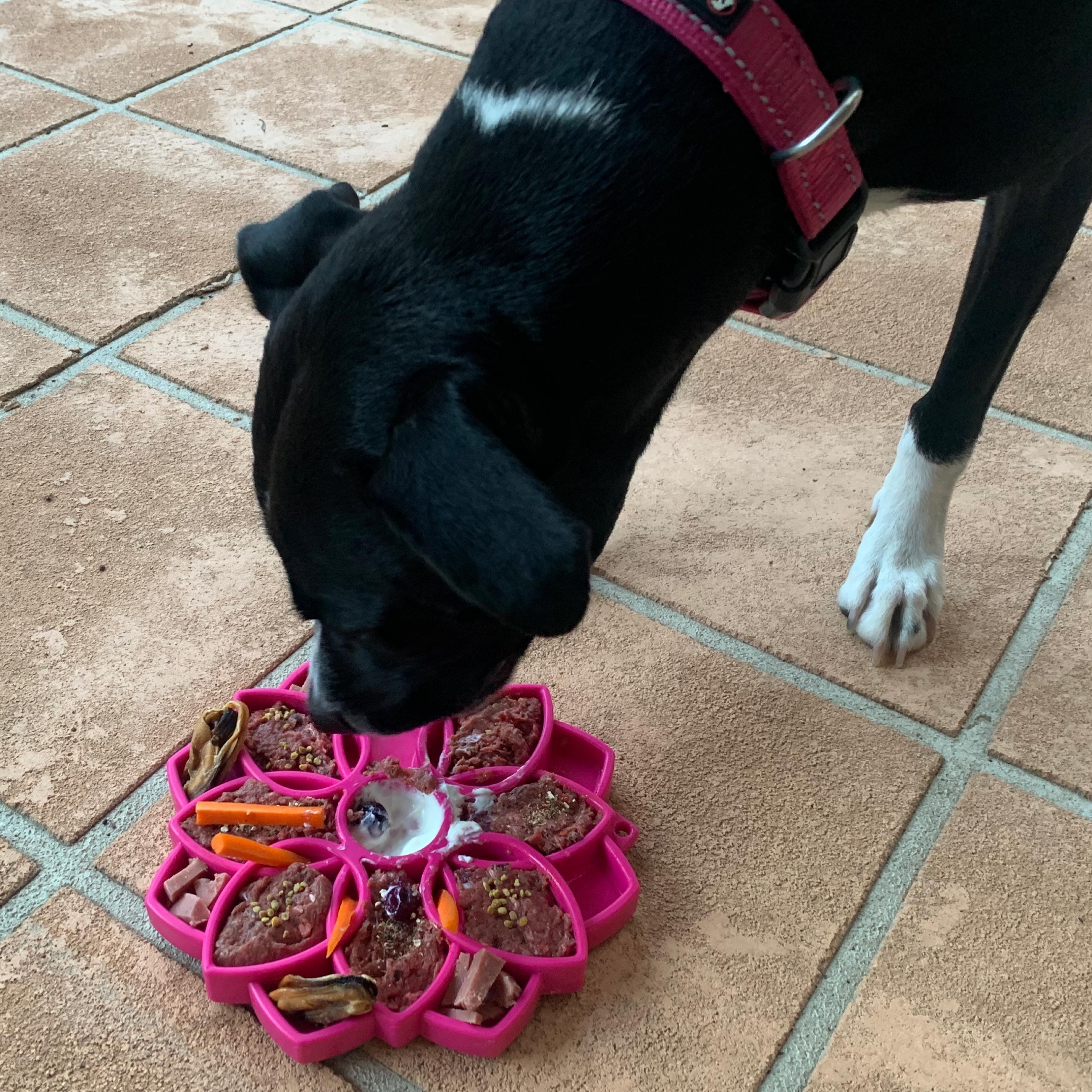 Mandala eTray Slowfeeder eTray-Slow Feeder-Rover Pet Products