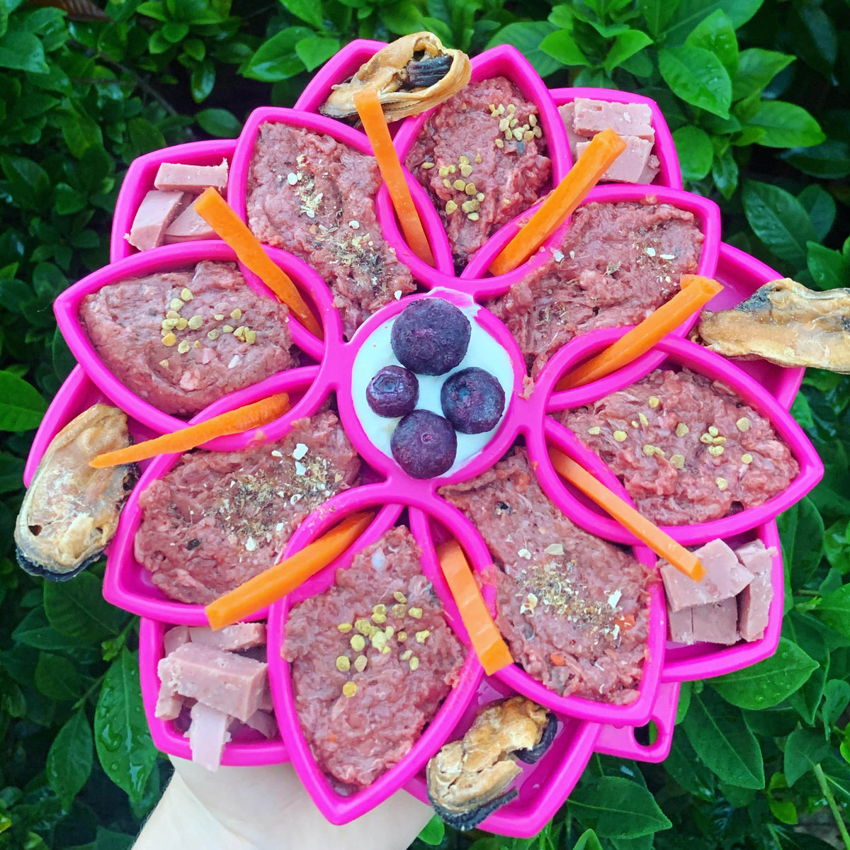 Mandala eTray Slowfeeder eTray-Slow Feeder-Rover Pet Products