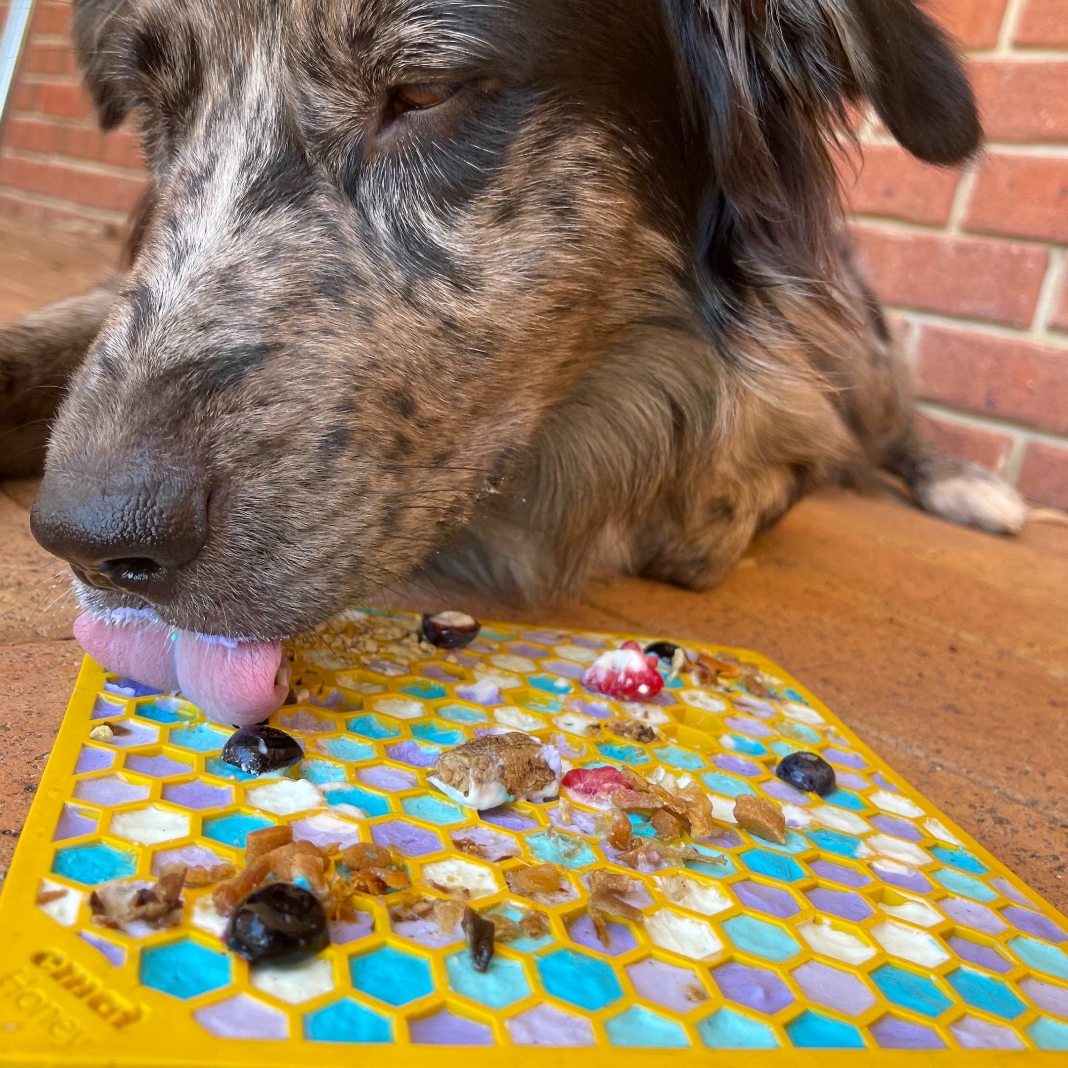 Honeycomb eMat (Large) Enrichment Lick Mat-Slow Feeder-Rover Pet Products