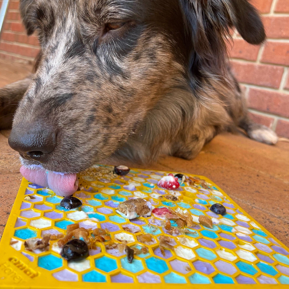 Honeycomb eMat (Large) Enrichment Lick Mat-Slow Feeder-Rover Pet Products