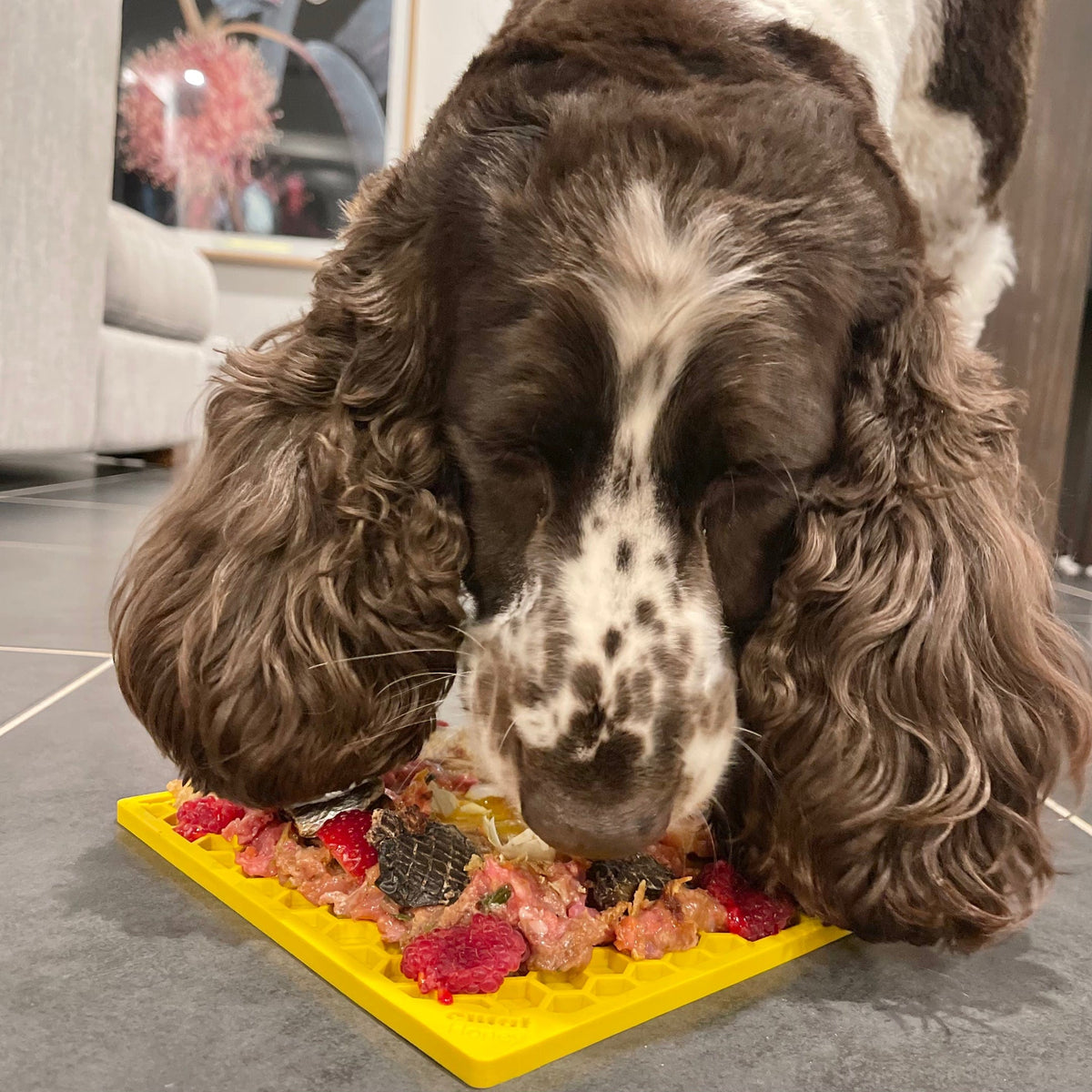 Honeycomb eMat (Large) Enrichment Lick Mat-Slow Feeder-Rover Pet Products