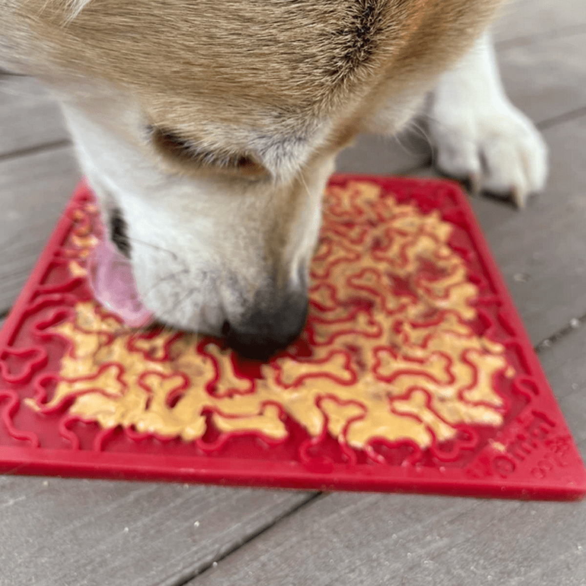 Bones eMat Enrichment Lick Mat-Slow Feeder-Rover Pet Products